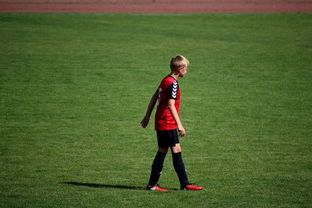 AYX官网-未来足球场馆将融合智能照明和环境监测系统，绿色科技引领行业